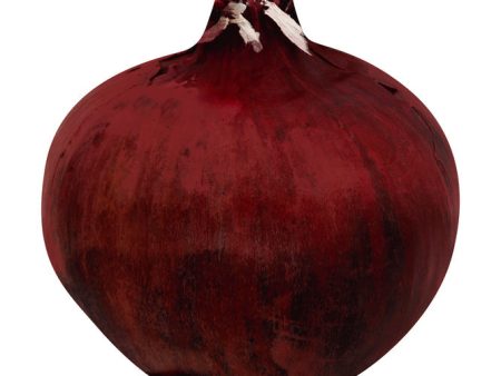 Onion (Red) For Sale