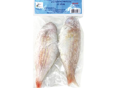 FY Frozen Golden Thread Bream Cheap