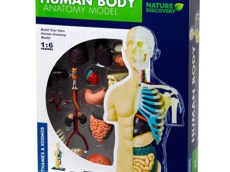 Human Anatomy Discount