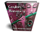 Ceylon Wind Bansury - Large unique Authentic WAVE Samples Loops Library Hot on Sale