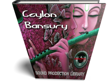 Ceylon Wind Bansury - Large unique Authentic WAVE Samples Loops Library Hot on Sale