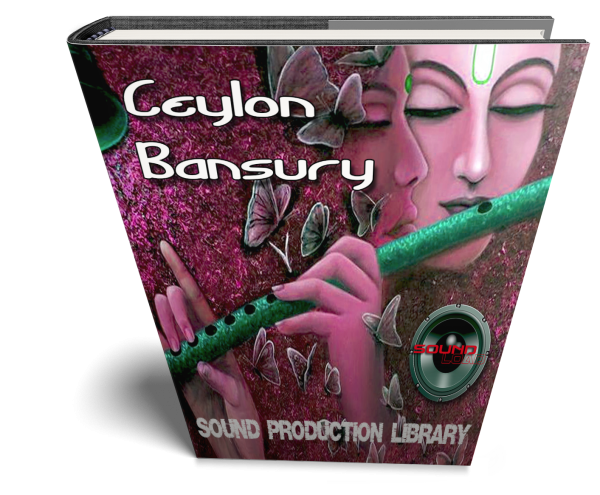 Ceylon Wind Bansury - Large unique Authentic WAVE Samples Loops Library Hot on Sale