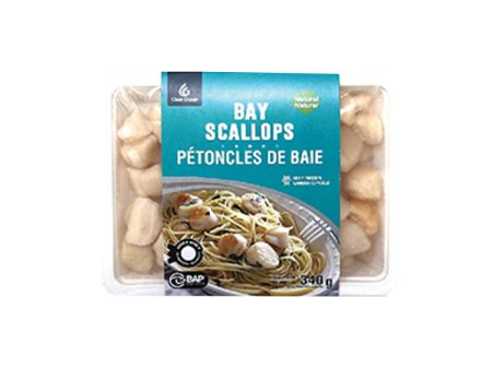 Clear Ocean Bay Scallops For Cheap