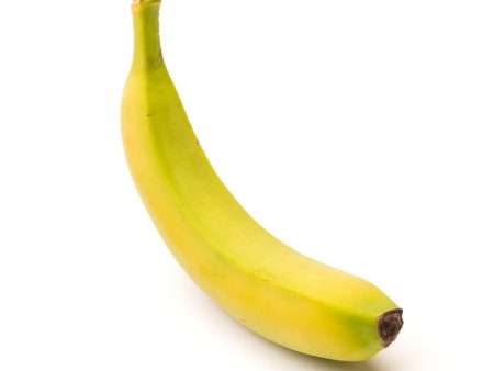 Bananas - McCartney Discount