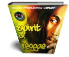 Reggae MEGA Bundle - 11 Large Essential WAVE Samples Loop Studio Libraries Online Hot Sale