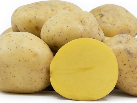 Potato (Yukon, size B) on Sale