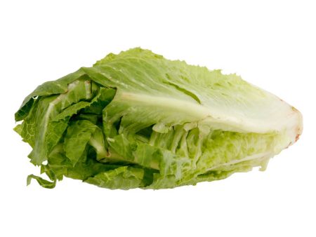 Romaine Lettuce on Sale