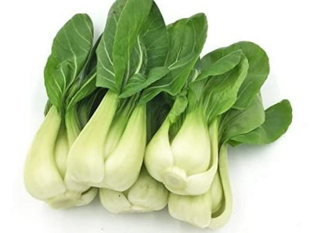 Bok Choy Online now