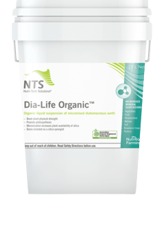 Dia-Life Organic Online Hot Sale