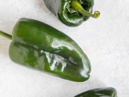 Poblano Peppers - McCartney For Discount