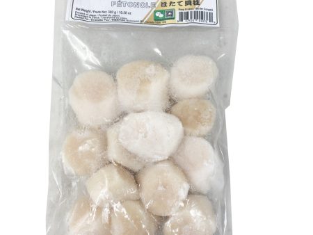 Golden Japanese Scallop For Cheap