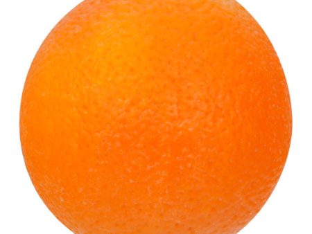 Oranges - McCartney Hot on Sale