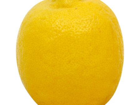 Lemons - McCartney Sale