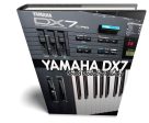 YAMAHA DX7 - the KING of 80s - Large original WAVE Samples Loops Library Sale