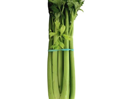 Celery Online now