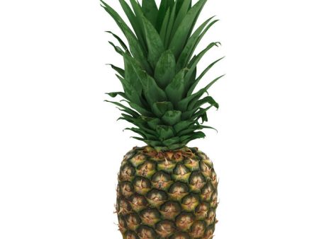 Pineapple - McCartney For Discount