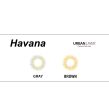 Havana Brown Online Hot Sale