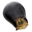 Eggplant - Habegger Produce Hot on Sale