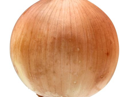 Onion (Yellow) Sale