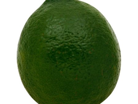 Limes Online