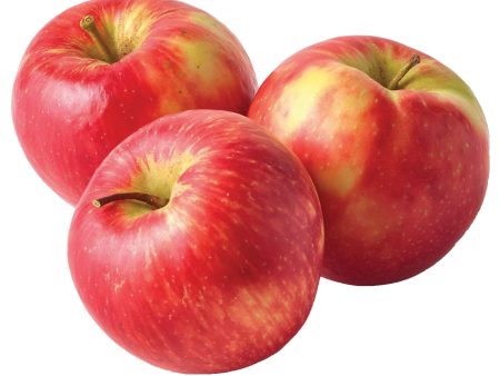 Apples, Honeycrisp For Discount