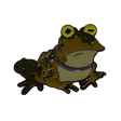 Hypno-Toad Enamel Pin Online