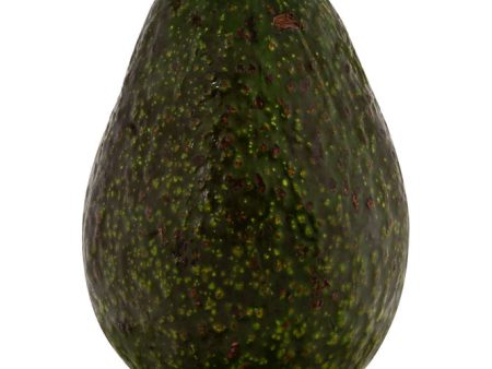 Avocado Online