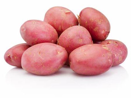 Potatoes (Red) - Habegger Produce Online now