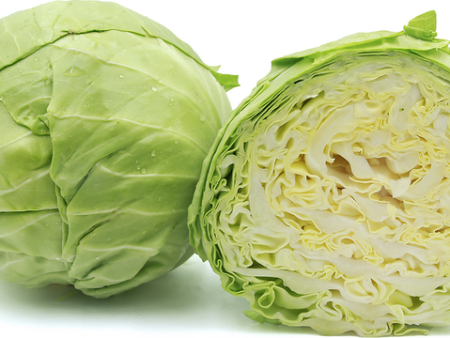 Cabbage For Discount