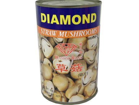 Diamond Mushroom(broken Hot on Sale