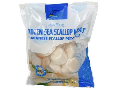 Bq Sea Scallop Meat Online Hot Sale