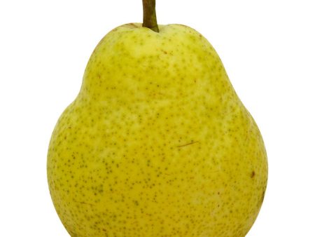 Pears, Danjou - McCartney For Discount