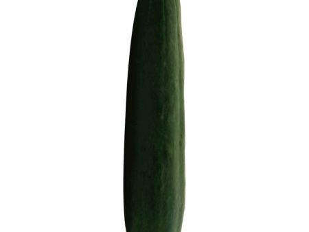 Cucumbers - Habegger Produce Online now